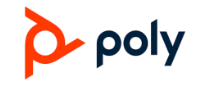 poly_Logo